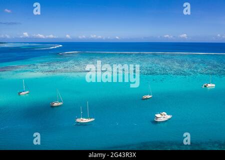 Luftaufnahme von Segelbooten vor Anker in Opunohu Bay, Moorea, Windward Islands, Französisch-Polynesien, Südpazifik Stockfoto