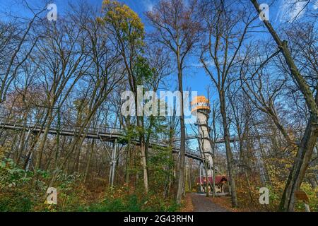 Baumkronenweg mit Aussichtsturm, Nationalpark Hainich, Thüringen, Deutschland Stockfoto