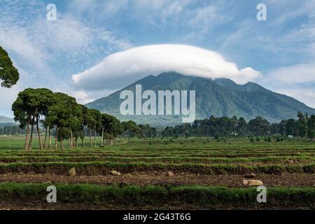 Wolke schwebt über Berg, Volcanoes Nationalpark, Nordprovinz, Ruanda, Afrika Stockfoto