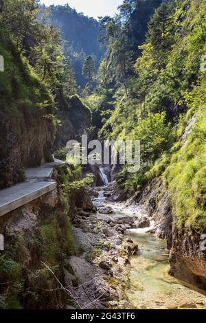 Schlucht der Almbachklamm in den Berchtesgadener Alpen, Bayern, Deutschland Stockfoto