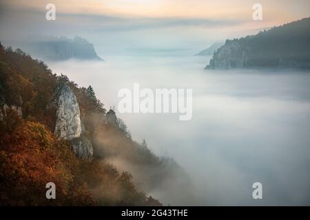 Blick über die Nebeldecke auf Schloss Werenwag, Nebel, Naturpark Oberes Donautal, Donau, Deutschland Stockfoto