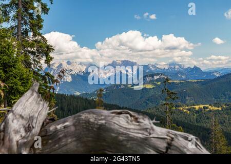 Blick ins Steinerne Meer und Loferer Alm im Sommer, Chiemgau, Bayern, Deutschland, Pinzgau, Salzburg, Österreich Stockfoto