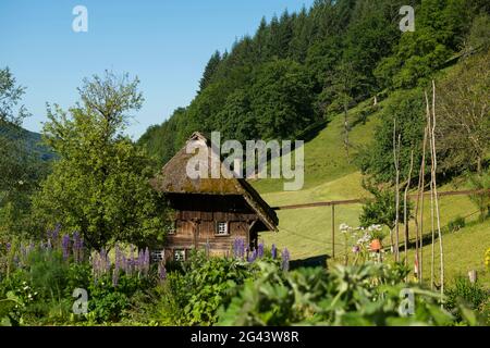 Reetmühle mit Hüttengarten, Oberprechtal bei Elzach, Schwarzwald, Baden-Württemberg, Deutschland Stockfoto