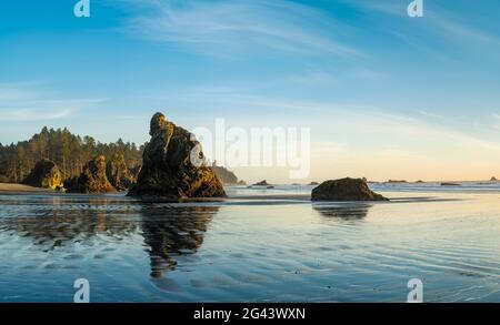 Sea Stack Felsformationen am Ruby Beach, Olympic National Park, Washington, USA Stockfoto