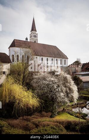 Stadtpfarrkirche St. Blasius, Ehingen, Donau, Alb-Donau, Baden-Württemberg, Deutschland Stockfoto