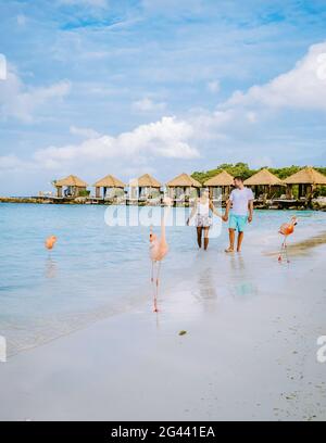 Aruba Strand mit rosa Flamingos am Strand, Flamingo am Strand in Aruba Island Karibik Stockfoto
