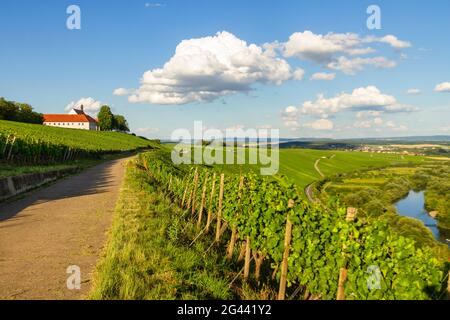 Die Vogelsburg bei Volkach, Kitzingen, Unterfranken, Franken, Bayern, Deutschland, Europa Stockfoto