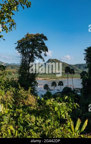 Blick von den Pak Ou Höhlen über üppige Vegetation auf den Mekong Fluss, Pak Ou, Luang Prabang Provinz, Laos, Asien Stockfoto