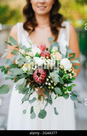 Eine sanfte Braut hält in ihren Händen einen ungewöhnlichen Hochzeitsstrauß aus weißen Pfingstrosen, Rosen, Proteas und Eukalyptuszweigen Stockfoto