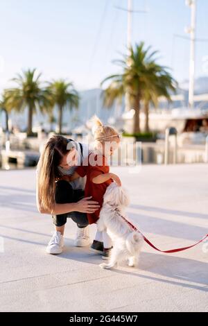 Frau und ihr Kleinkind streicheln einen kleinen weißen Hund Auf einem Bootssteg Stockfoto