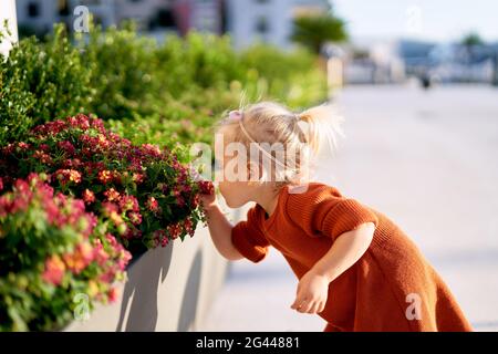 Kleines Mädchen riecht rote Blumen in einem Park auf Ein sonniger Tag Stockfoto