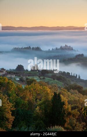Nebliger Herbstmorgen unterhalb von San Gimignano, Toskana, Italien, Europa Stockfoto