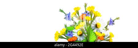 Blumen und Kräuter. Kreative Blumenkomposition im Frühling. Stockfoto