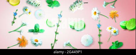 Blumen und Kräuter. Kreative Blumenkomposition im Frühling. Stockfoto