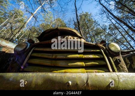 Nahaufnahme eines alten LKW-Kühlergrills in Schrottplatz, Old Car City, White, Georgia, USA Stockfoto