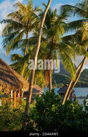 Eine junge blonde Frau blickt vom Balkon ihrer Flitterwochen-Suite inmitten von Kokospalmen in die Überwasser-Bungalows des Sofitel Bora Bora Private Island R Stockfoto