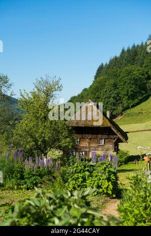 Reetmühle mit Hüttengarten, Oberprechtal bei Elzach, Schwarzwald, Baden-Württemberg, Deutschland Stockfoto