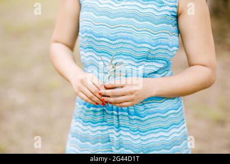 Mädchen in einem Kleid mit einem Meereswellen-Ornament hält Ein grüner Zweig eines Olivenbaums in ihren Händen Stockfoto