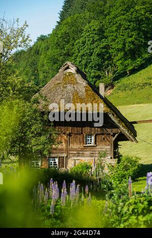 Reetmühle mit Hüttengarten, Oberprechtal bei Elzach, Schwarzwald, Baden-Württemberg, Deutschland Stockfoto