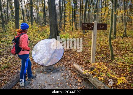 Frau beim Wandern schaut in Spiegel, Waldpromenade, Hainich Nationalpark, Thüringen, Deutschland Stockfoto