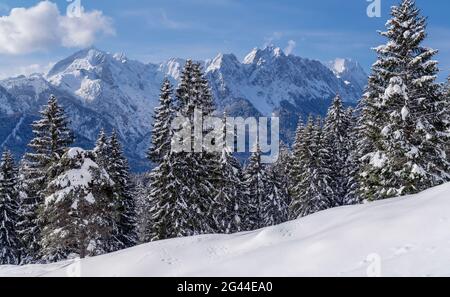 Morgenblick über den winterlichen Bergwald zum Wettersteingebirge, Garmisch-Partenkirchen, Bayern, Deutschland, Europa Stockfoto