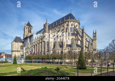 Kathedrale Von Bourges, Frankreich Stockfoto