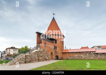 Schloss Kaunas, Litauen Stockfoto