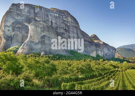 Blick auf den Weinberg, Meteora, Griechenland Stockfoto