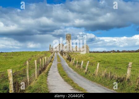 Ross Errilly Friary, Irland Stockfoto