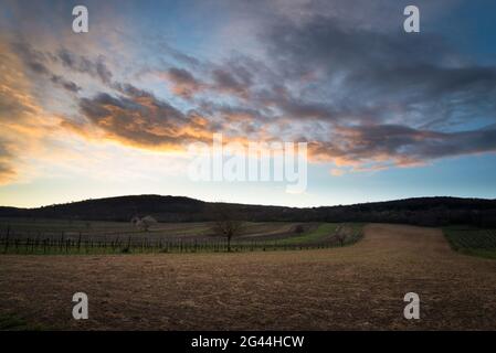 Dramatischer Himmel nach Sonnenuntergang mit landwirtschaftlichen Feldern und Weinbergen im Burgenland Stockfoto