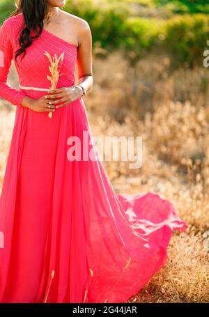 Eine Frau in einem stilvollen hot pink Kleid mit einem Langer Rock steht zwischen den Spikelets und hält Spikelets in Ihre Hände Stockfoto