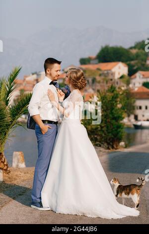 Die Braut und der Bräutigam stehen auf dem Pier umarmt und schauen sich gegenseitig an, da ist eine Katze in der Nähe Stockfoto