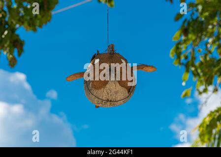 Skulptur der fliegenden Fische am Strand von Poyalisa Stockfoto