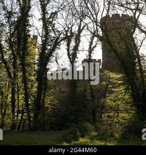 Landesburg Lechenich, Erftstadt, Nordrhein-Westfalen, Deutschland, Europa Stockfoto