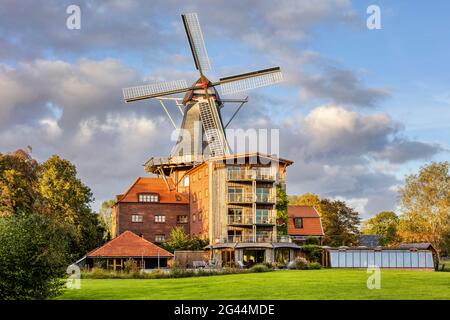 Westeracumer Mühle bei Sonnenuntergang, Windmühle, Westeraccum, Dornum, Ostfriesland, Niedersachsen, Deutschland Stockfoto