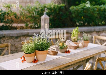 Empfang am Tisch für Hochzeitsessen bei Sonnenuntergang im Freien. Alte rechteckige Holztische mit Lappen Läufer, Holz Vintage Stühle, Lave Stockfoto