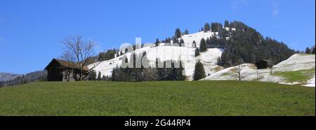 Grüne Wiese und schneebedeckte Hügel in Gsteig bei Gstaad. Stockfoto