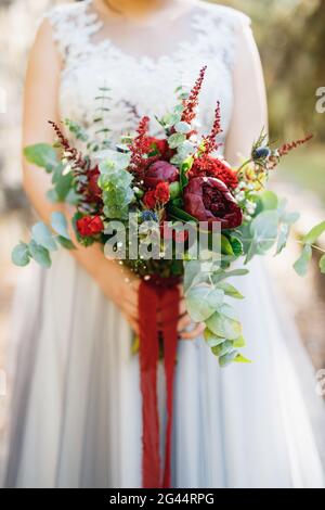 Eine Braut in einem hellgrauen Hochzeitskleid hält einen Strauß mit roten Pfingstrosen, Astilba, Rosen und Eringium und roten langen Bändern, close-U Stockfoto