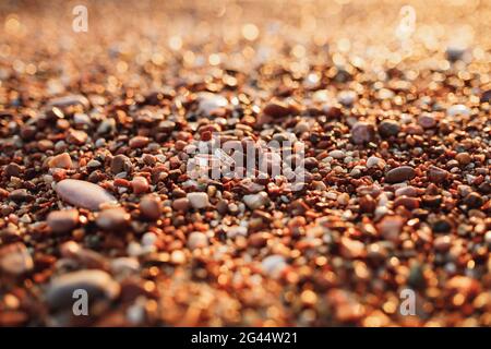 Zwei goldene Eheringe an einem Kiesstrand. Stockfoto