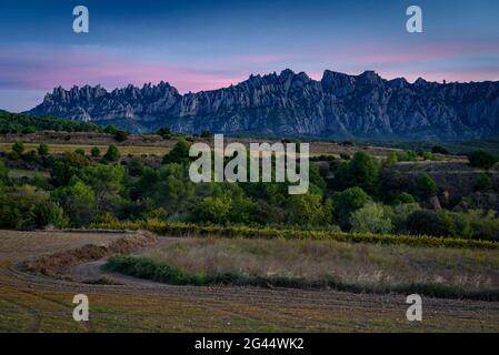 Sonnenaufgang in Montserrat von einem Feld in der Nähe von Hostalets de Pierola Dorf (Barcelona, Katalonien, Spanien) ESP: Amanecer a Montserrat visto desde el sur Stockfoto