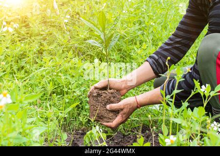 Nahaufnahme eines jungen Mannes, der im Garten Sprossen pflanzt - Beginn EINES neuen Lebens. Konzept für den Tag der Umwelt Stockfoto