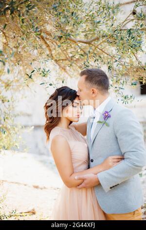 Der Bräutigam küsst die Braut in dem schönen Pastellkleid und umarmt sie sanft unter dem grünen Baum Stockfoto