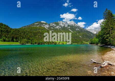 Hintersteinersee mit Blick auf den Wilden Kaiser, das Kaisergebirge, Tirol, Österreich Stockfoto