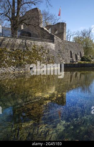 Lippequelle mit Burgruine, Bad Lippspringe, Nordrhein-Westfalen, Germay, Europa Stockfoto