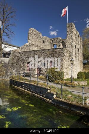 Burgruine mit Lippequelle, Bad Lippspringe, Nordrhein-Westfalen, Deutschland, Europa Stockfoto