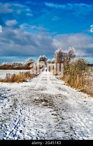 Spaziergang auf dem Deich, Dorum, Niedersachsen, Deutschland Stockfoto