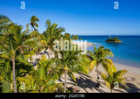 Luftaufnahme von Kokospalmen und Strand im Six Senses Fiji Resort, Malolo Island, Mamanuca Group, Fidschi-Inseln, Südpazifik Stockfoto