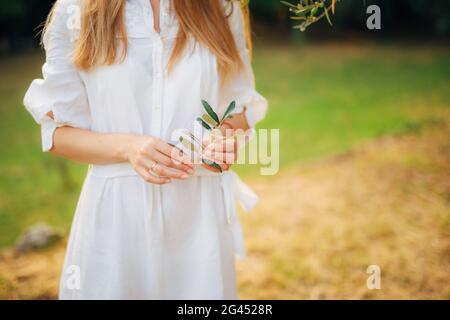 Olive Branch in zarten weiblichen Händen Stockfoto