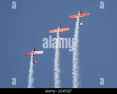 Moskau Russland Zhukovsky Airfield 31 August 2019: Leistung des Kunstflugzeugs Yak-52 der internationale Luft- und Raumfahrtsalon MAKS Stockfoto