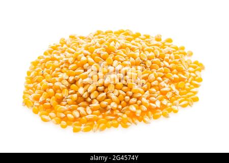 Maiskolben Saat auf weißem Hintergrund Stockfoto